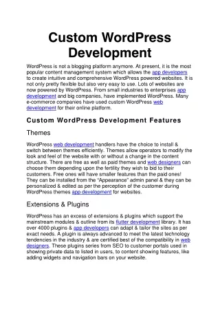 custom wordpress development
