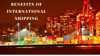 Neal Elbaum - Specialized in International Shipping