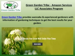 Flowers - Green Garden Tribe Blogs & Articles - Patricia Godwin