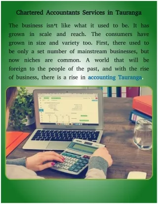 big and small business accounting services in Tauranga