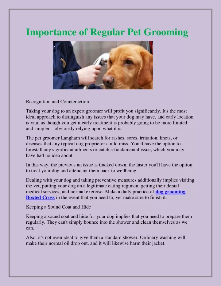 importance of regular pet grooming