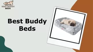 Buy Dog Beds Australia