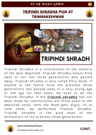 Tripindi Shradh Puja at Trimbakeshwar