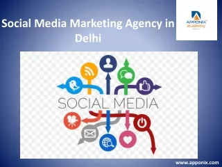 social media marketing agency in delhi