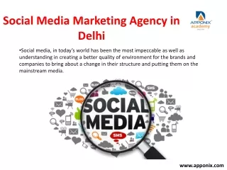 social media marketing agency in delhi