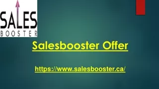 Salesbooster Offer Generate The Potential Leads For Businesses