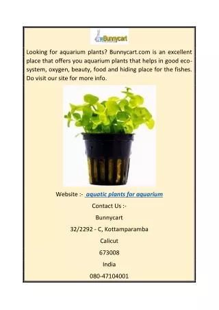 aquatic plants for aquarium  bunnycart.com