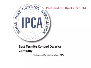 Best Termite Control Dwarka Company