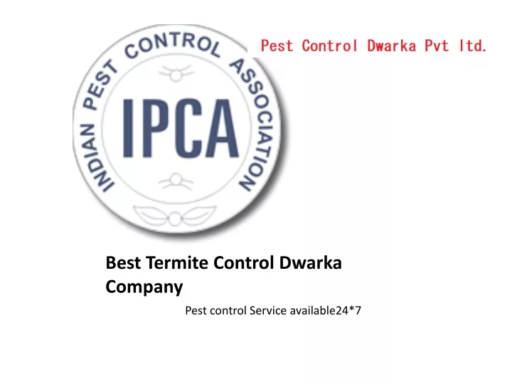 best termite control dwarka company