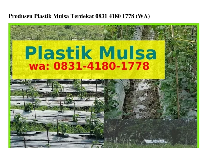 produsen plastik mulsa terdekat 0831 4180 1778 wa