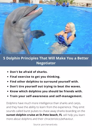 5 Dolphin Principles That Will Make You a Better Negotiator