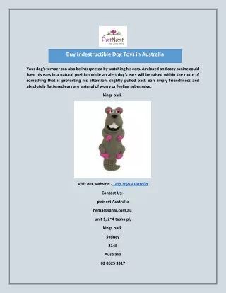 Buy Indestructible Dog Toys in Australia