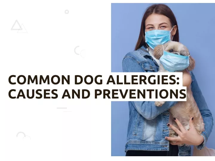 common dog allergies causes and preventions