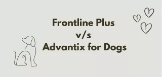 frontline plus v s advantix for dogs
