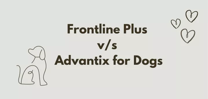 frontline plus v s advantix for dogs