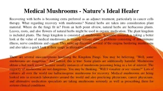 Medical Mushrooms