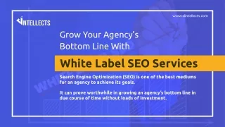 Grow Your Agency’s Bottom Line With White Label SEO Services