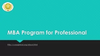mba program for professional