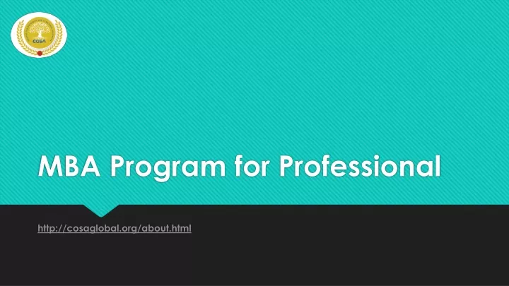 mba program for professional
