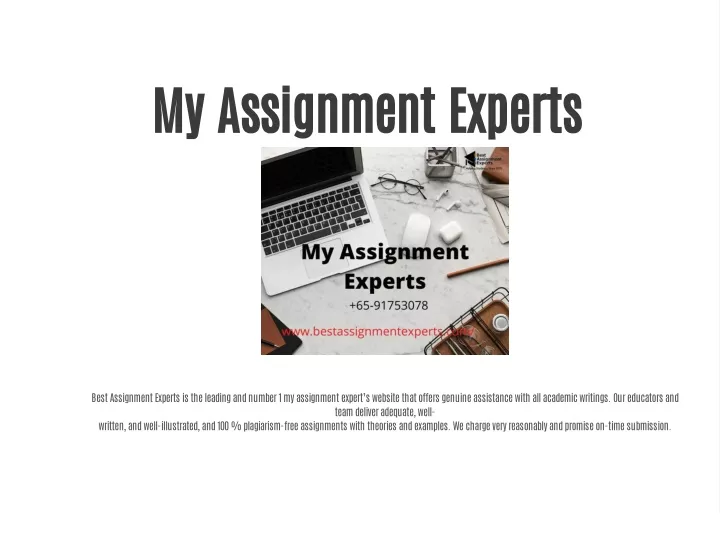 my assignment experts