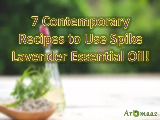 7 Contemporary Recipes to Use Spike Lavender Essential