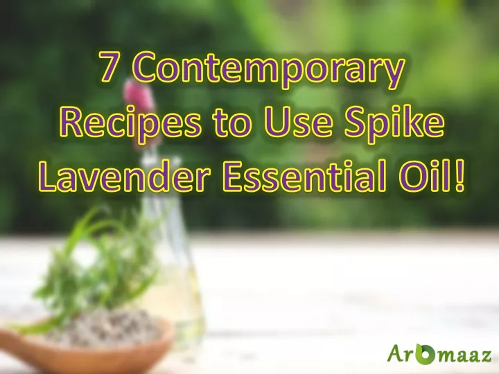 7 contemporary recipes to use spike lavender essential oil