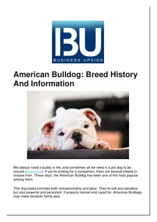 American Bulldog: Breed History And Information