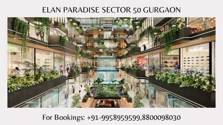 elan paradise sector 50 gurgaon