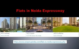 Flats in Noida Expressway - Ace Group