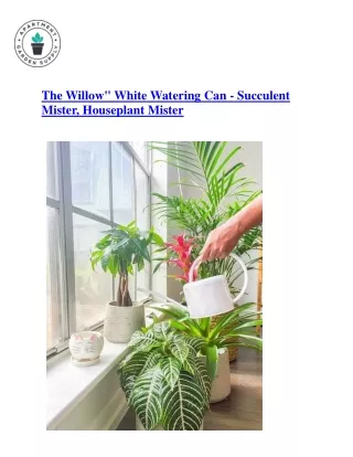 The Willow" White Watering Can - Succulent Mister, Houseplant Mister, Water Mist