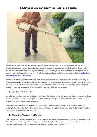 5 methods you can apply for pest free garden