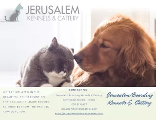 Jerusalem Kennels & Cattery