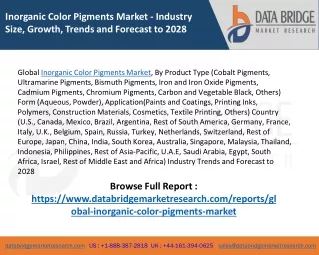 inorganic color pigments market industry size