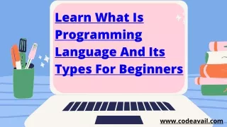 Learn What Is Programming Language And Its Types For Beginner PPT
