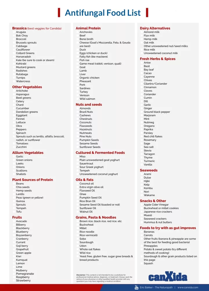 the complete candida diet food shopping list