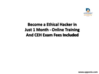 Ethical hacking apponix