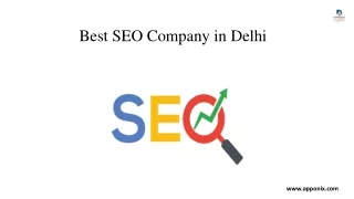 Best SEO Company in Delhi