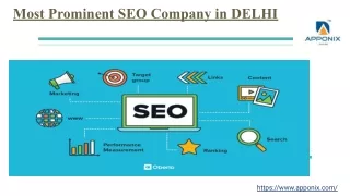 Most Prominent SEO Company in DELHI