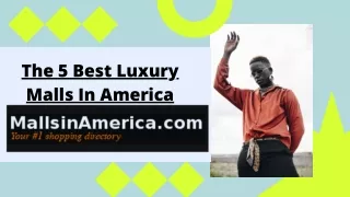 The 5 Best Luxury Malls In America