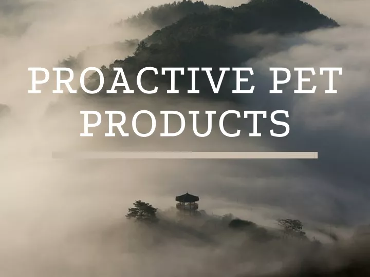 proactive pet products