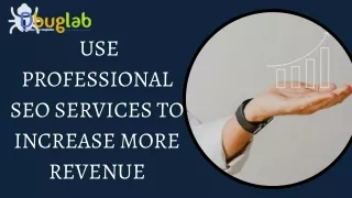 use professional SEO services to increase more revenue