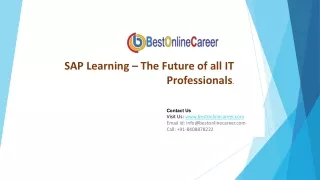 sap learning the future of all it professionals