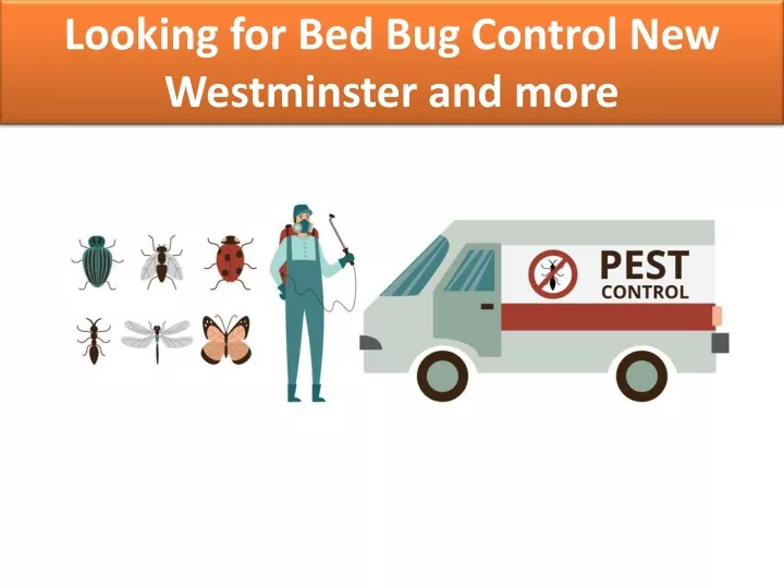 looking for bed bug control new westminster and more
