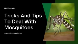 Tricks And Tips To Deal With Mosquitoes