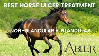 BEST HORSE ULCER TREATMENT
