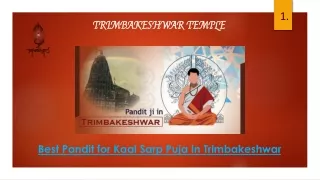 Best Pandit For Kaal Sarp Puja in Trimbakeshwar