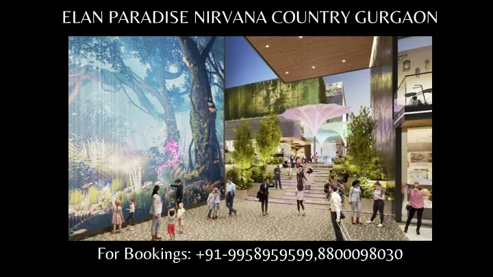 elan paradise nirvana country gurgaon