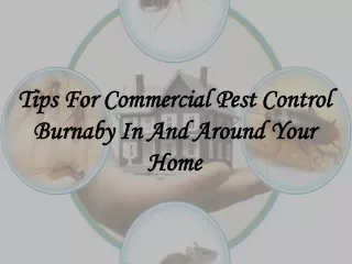 Tips For Commercial Pest Control Burnaby In And Around Your Home