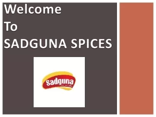 Best Turmeric Powder in India - Sadguna