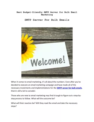 best budget friendly smtp server for bulk email
